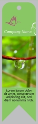 Water Drop