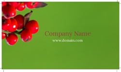 cranberry-bush