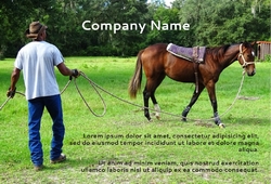 Animal&pets-company-postcard-3