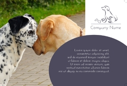 Animal&pets-company-postcard-4