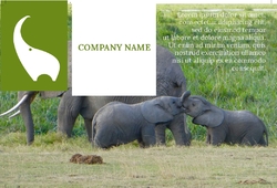 Animal&pets-company-postcard-6