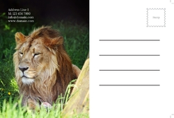 Animal&pets-company-postcard-15