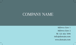 Basic-Business-card-991