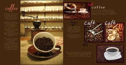 cafe_brochure_8_india