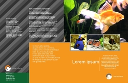 Brochure-9 Cara 1