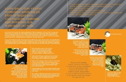 Brochure-9 Cara 2