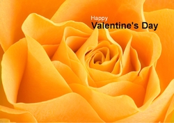 valentine-day-02 Outside