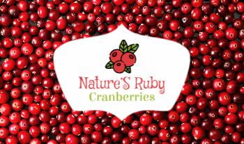 cranberry-bush