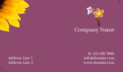 obsession -with-butterflies