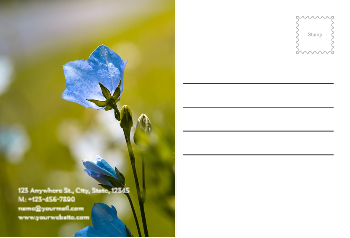flowers-shop-postcard-3 Back