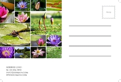 holidays-company-postcard-9 Cara 2