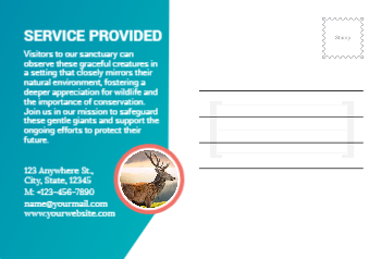 Animal&pets-company-postcard-1 Back