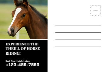 Animal&pets-company-postcard-2 Back