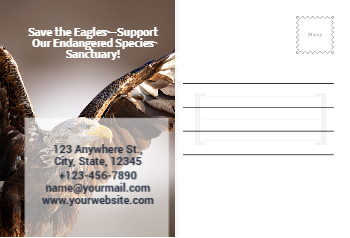 Animal&pets-company-postcard-5 Back