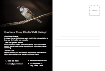 Animal&pets-company-postcard-8 Back