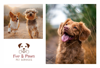 Animal&pets-company-postcard-10 Front