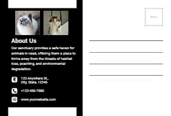 Animal&pets-company-postcard-17 Back