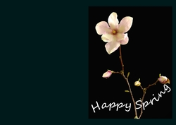 greeting-card-30 Outside