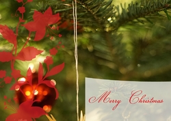 greeting-card-34 Outside