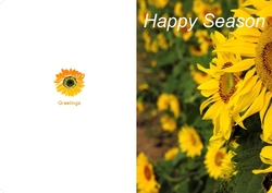 greeting-card-42 Outside