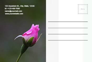 Agriculture-Postacard-7 Back