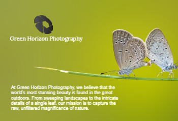 arts-photography-postcard-1 Front