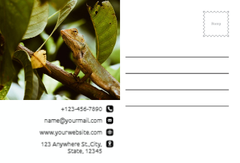 arts-photography-postcard-2 Back