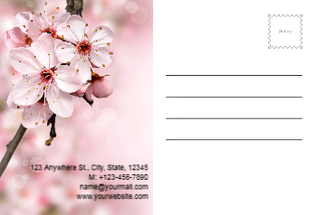 postcard-17 Back