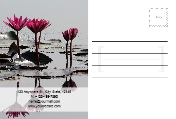 postcard-620 Back