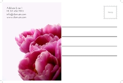 flowers-shop-postcard-7 Cara 2