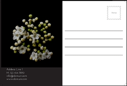 flowers-shop-postcard-7 Cara 2