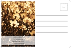 flowers-shop-postcard-7 Cara 2