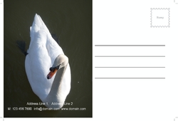 postcard-31 Cara 2