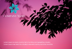 flowers-shop-postcard-3 Cara 1