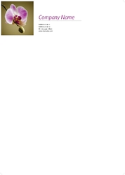 jewellery_letterhead_1_india