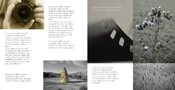 photography_brochure_7_india Cara 2