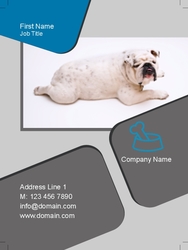 Animal_and_pet_Business_card_magnets_4_india