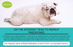 Animal_and_pet_Poster_4_india