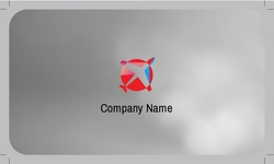 Metalic_card_9 Posterior