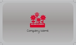 Metalic_card_9 Posterior