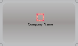 Metalic_card_9 Posterior