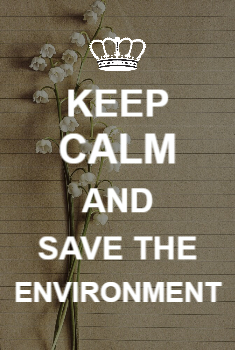 Save Environment