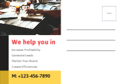 Executive Insight Back