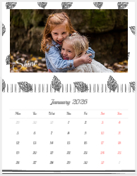 Minimalist Year in Review