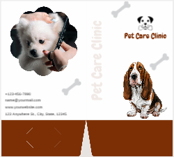 Pawfect Pet Front