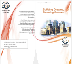BizSphere Snapshot Front