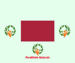 Bold Logo Focus