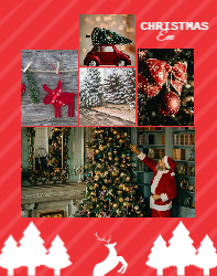 Festive Photo Story
