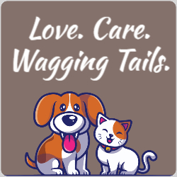 Love. Care. Wagging Tails. page