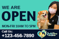 PetCare Clinic Front